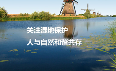 廣東省濕地保護協(xié)會